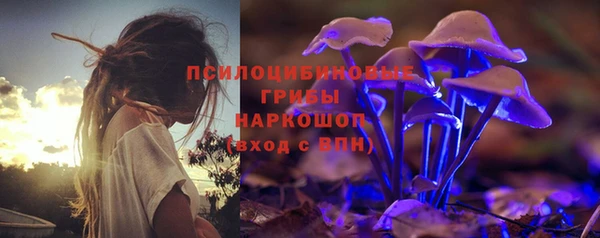 бутират Горняк
