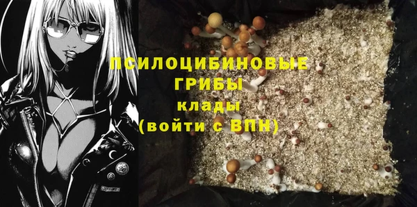 трава Горнозаводск