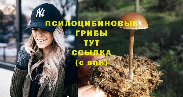 бутират Горняк