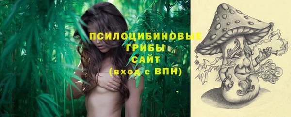 ECSTASY Горно-Алтайск
