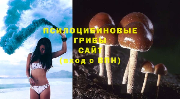 трава Горнозаводск