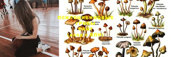 трава Горнозаводск